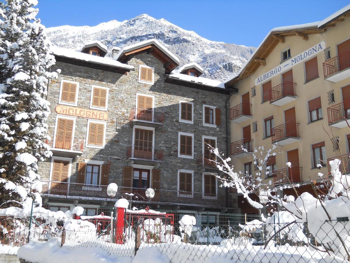 Albergo Mologna Gaby Esterno foto