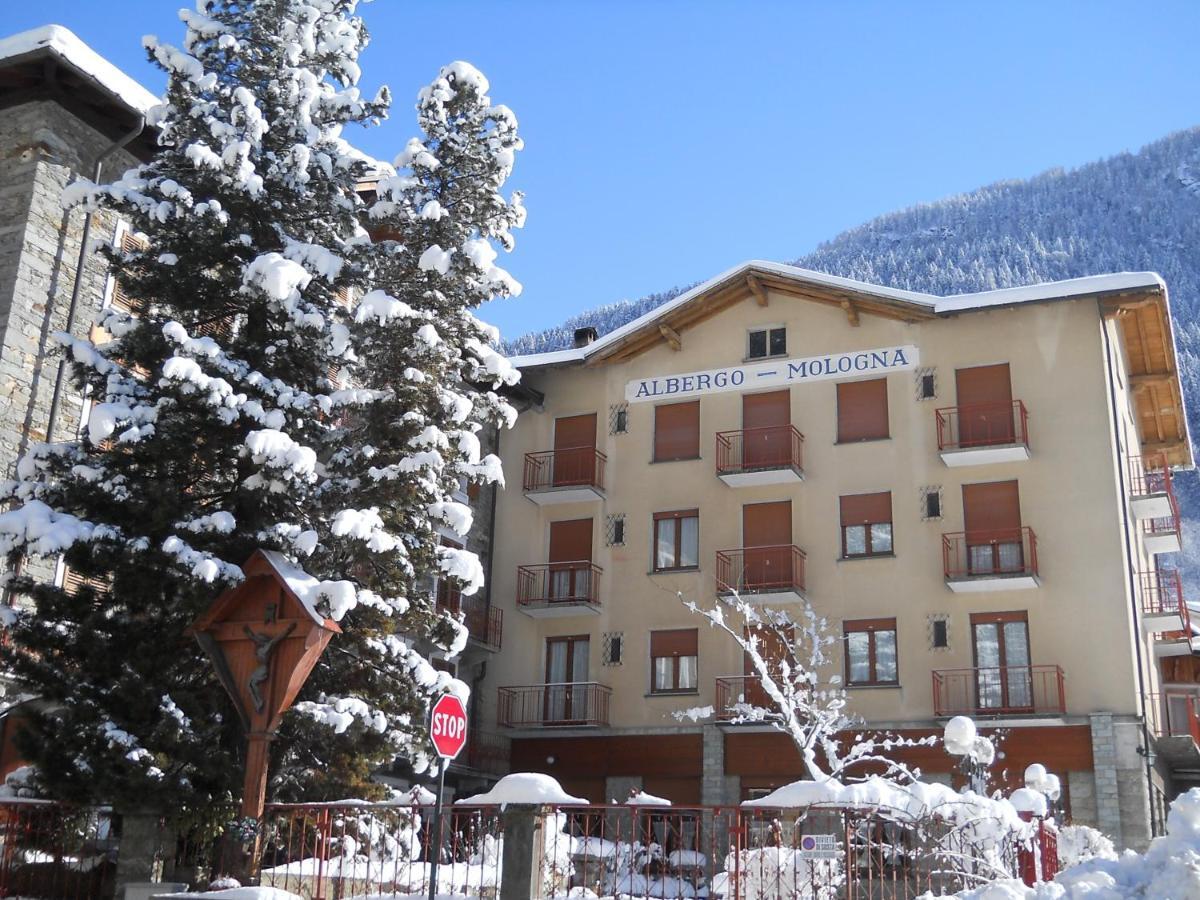 Albergo Mologna Gaby Esterno foto