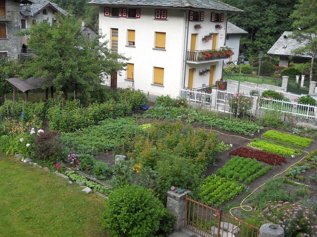 Albergo Mologna Gaby Esterno foto